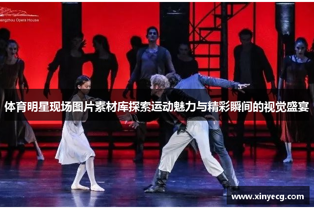 体育明星现场图片素材库探索运动魅力与精彩瞬间的视觉盛宴