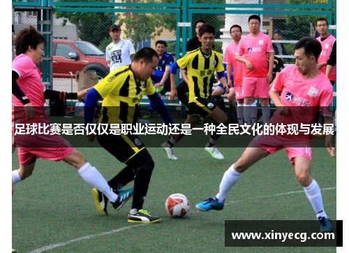 足球比赛是否仅仅是职业运动还是一种全民文化的体现与发展