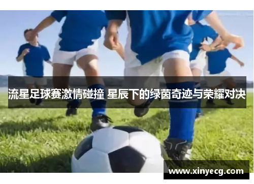 流星足球赛激情碰撞 星辰下的绿茵奇迹与荣耀对决